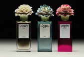 LOEWE限量香水“开花”，卡戴珊美妆唇膏上新｜是日美好事物|界面新闻 · 时尚